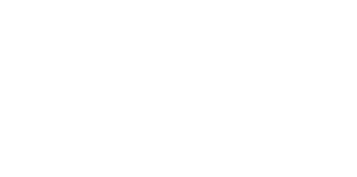 Pícaro Mezcal Artesanal 